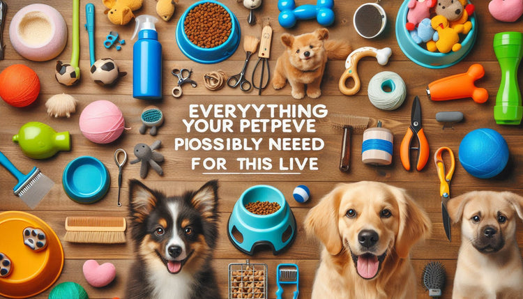 Everything your pet could possibly need is here! A variety of toys, grooming tools, food bowls,Clothes and outdoor accessories. With durable, pet-safe options, you can count on us to provide comfort and enjoyment for four-legged family member- SOLVSHOP