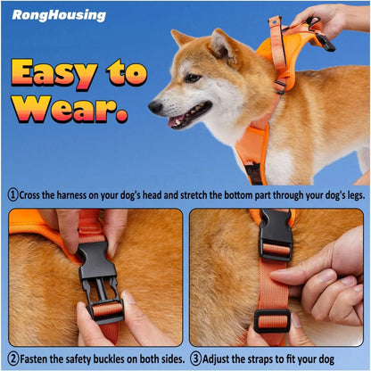 QuickFit Adjustable Dog Harness & Leash