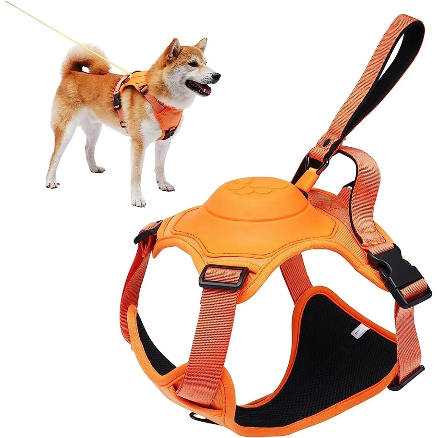 QuickFit Adjustable Dog Harness & Leash