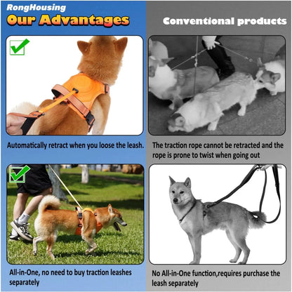 QuickFit Adjustable Dog Harness & Leash